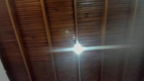 Snapshot of milarose4 chatting on 31, 12, 2024 Mila Rose online show from 31, 12, 2024