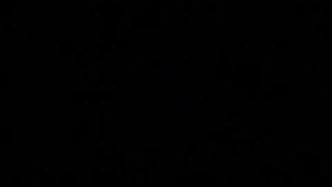 Snapshot of milayah chatting on 10, 11, 2025 Mila online show from 10, 11, 2025