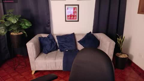  Arlet  online show from 14, 1, 2026