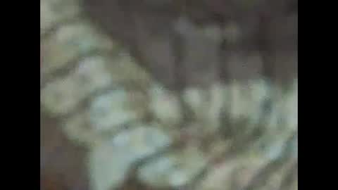 milfpussyeatdeep online show from 31, 12, 2024