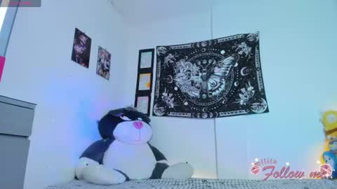        online show from 18, 7, 2026
