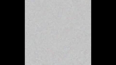 Snapshot of miniorganismo chatting on 14, 12, 2025 miniorganismo online show from 14, 12, 2025