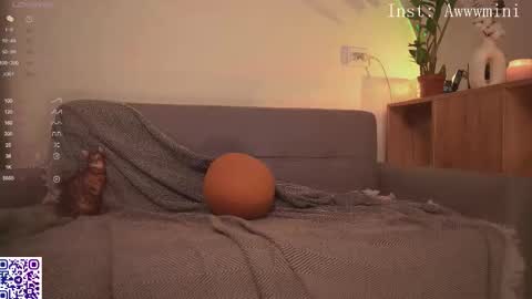 Snapshot of minirini chatting on 8, 11, 2025 Rina online show from 8, 11, 2025