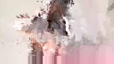 minniehunney online show from 12, 4, 2026