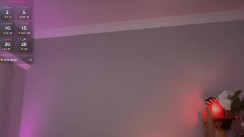 Snapshot of mirrorofsoul chatting on 2, 6, 2026 Shelley online show from 2, 6, 2026