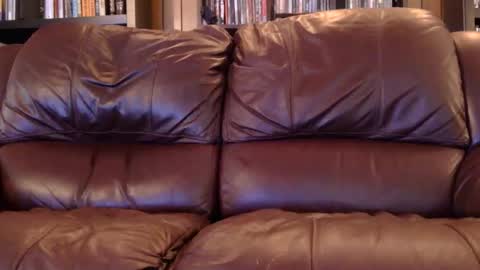 misohoney007 online show from 6, 4, 2026