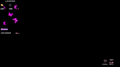 insta    online show from 20, 2, 2025