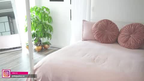 Snapshot of miss_meii chatting on 6, 6, 2026 Alejandra online show from 6, 6, 2026