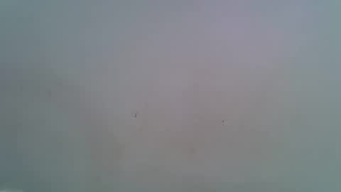 miss_rihanna2 online show from 4, 2, 2026