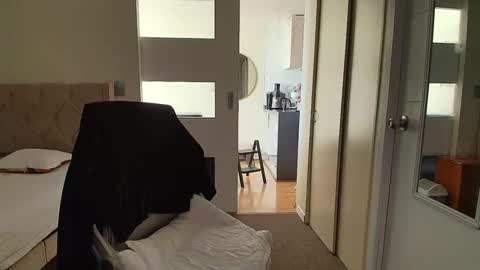 Anghy online show from 15, 4, 2026