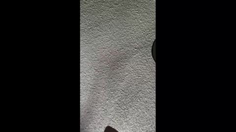 Snapshot of mister_nasty chatting on 3, 10, 2025 mister_nasty online show from 3, 10, 2025