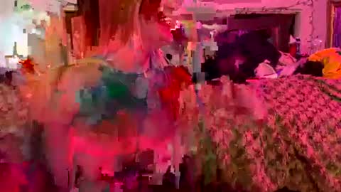 Snapshot of misthang6900 chatting on 29, 7, 2026 Smashing69 online show from 29, 7, 2026