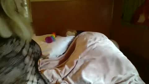 Snapshot of mitchellebunny7 chatting on 5, 2, 2025 MichelleBunny7 online show from 5, 2, 2025