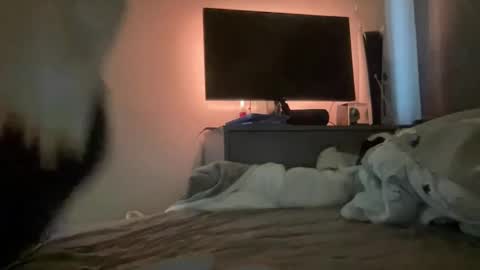 Snapshot of mitchellw7752 chatting on 31, 12, 2024 mitchellw7752 online show from 31, 12, 2024