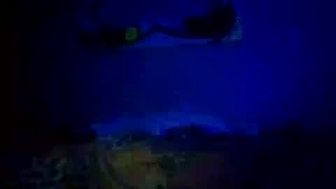 Snapshot of mjmckenz55 chatting on 14, 10, 2025 Daddy720 online show from 14, 10, 2025