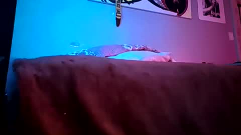 Daddy720 online show from 22, 3, 2026