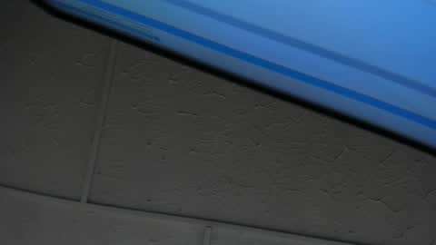 Hey Guys  Im Mollie online show from 10, 2, 2026