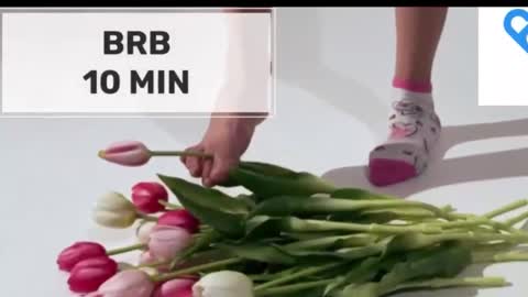 Mommy online show from 15, 10, 2025