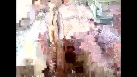 Snapshot of mommyissues2386 chatting on 28, 9, 2025 Richard Sheridan online show from 28, 9, 2025