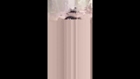 shirybeb online show from 8, 1, 2026