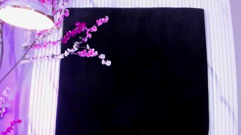 MONIK FOX online show from 17, 11, 2025