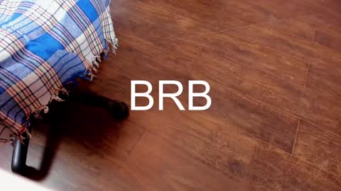 Monika NO c2c ever. PVT free Naked Fingering pussy doggy or standing BJ HJ Feet Fashion. PVT extra Toy control 400tk. online show from 6, 2, 2025