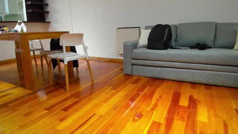 Snapshot of monikfree chatting on 5, 12, 2024 Monikfree online show from 5, 12, 2024