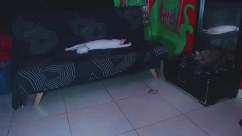 Xavier Rodriguez online show from 25, 11, 2025