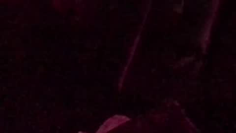 Snapshot of montydxxx2 chatting on 14, 9, 2025 montydxxx2 online show from 14, 9, 2025