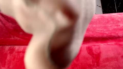 moolly_evanz online show from 4, 2, 2026