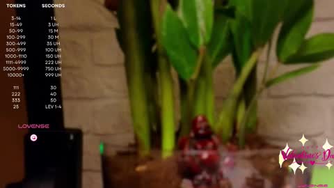 Luna  online show from 14, 2, 2025