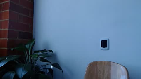 Abelardo online show from 20, 3, 2026