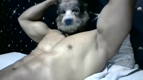 Snapshot of moreno1muscular chatting on 4, 3, 2025 moreno1muscular online show from 4, 3, 2025