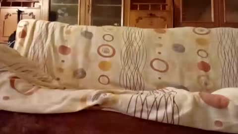 Snapshot of mospeleu chatting on 11, 12, 2024 Nomadu online show from 11, 12, 2024