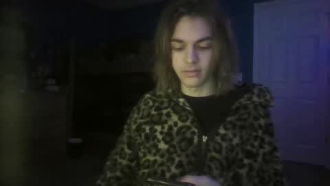 Ant online show from 28, 12, 2024