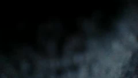 mrchocolatebabies online show from 8, 3, 2026