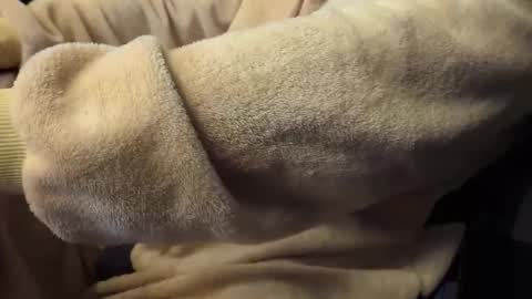 mrdelapampa online show from 26, 11, 2025