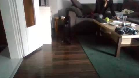 Nikola online show from 17, 2, 2025