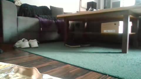 Nikola online show from 27, 2, 2025