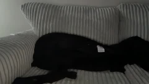 Snapshot of mrryanvoss chatting on 30, 12, 2024 Mr Ryan Voss online show from 30, 12, 2024