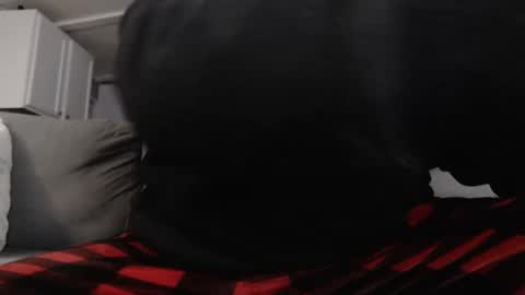 mrshlongboy21 online show from 25, 1, 2025