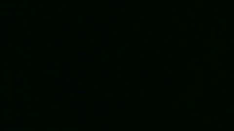 Miss Bean-Flicker online show from 19, 1, 2026