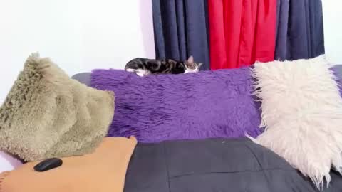 Miss Justine online show from 31, 10, 2025