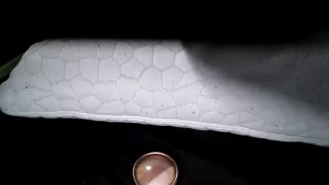 Snapshot of msmomy69 chatting on 18, 11, 2025 msmomy69 online show from 18, 11, 2025