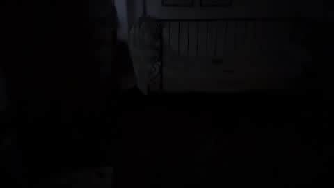 musclehair3 online show from 18, 11, 2025