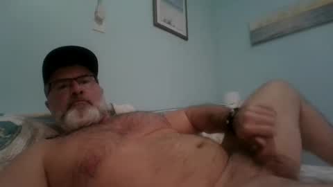 Snapshot of musclemeat41 chatting on 15, 1, 2025 musclemeat41 online show from 15, 1, 2025