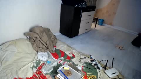 Snapshot of muse_online chatting on 21, 12, 2024 Muse Ali  online show from 21, 12, 2024