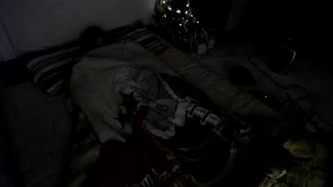 Snapshot of muse_online chatting on 23, 12, 2024 Muse Ali  online show from 23, 12, 2024