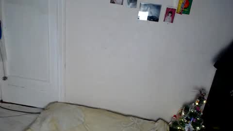 Snapshot of muse_online chatting on 31, 12, 2024 Muse Ali  online show from 31, 12, 2024