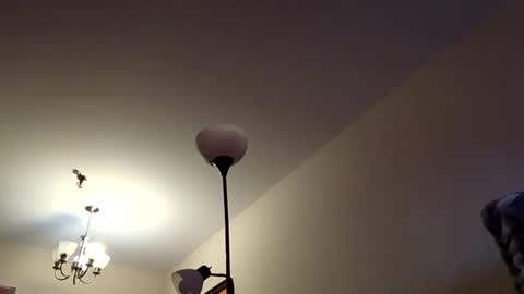 mutualmasturbatorman online show from 19, 4, 2026